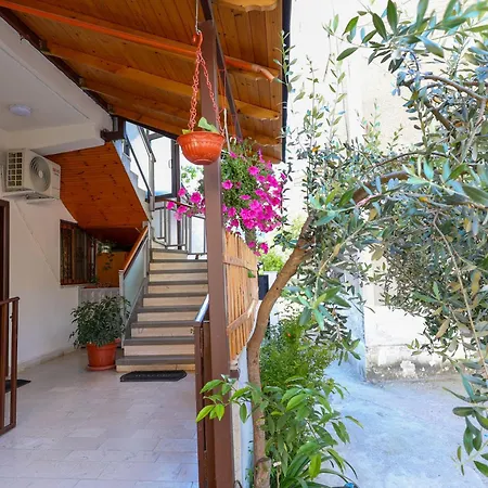 公寓 Berat Central Apartment *