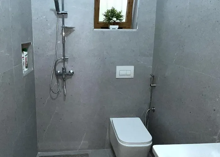 Berat Central Apartment Berat